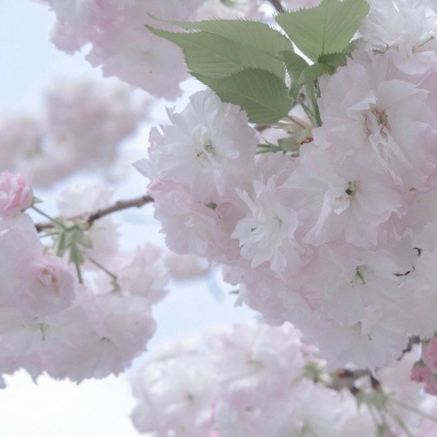 兽设山谷场景创作兽圈社群